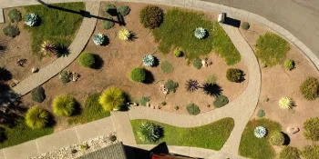 Oakmont garden defensible space (photo by Alex Roa)