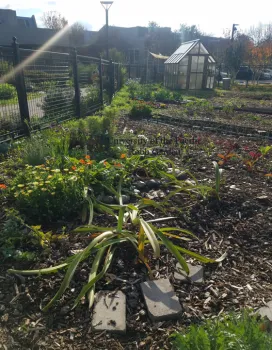 University of the Pacific Robb Garden