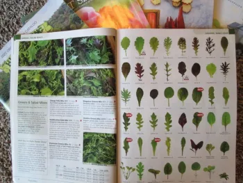 A seed catalog opened to a page with pictures of leaf shapes.