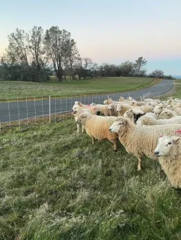 Photo Jan 25, 7 07 58 AM