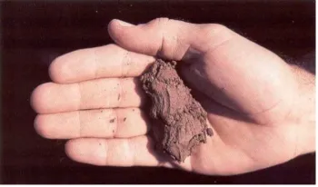 sandy clay loam 50-75 percent available moisture