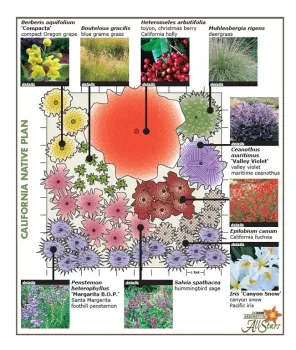 Developing a Garden Plan