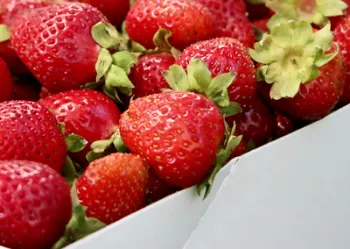 StrawberriesIMG_4667