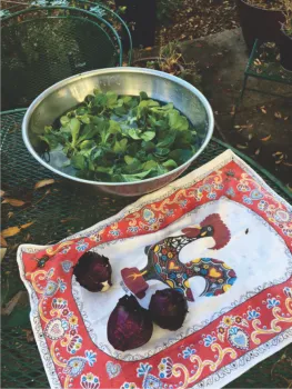 Cleaning Mache Lettuce