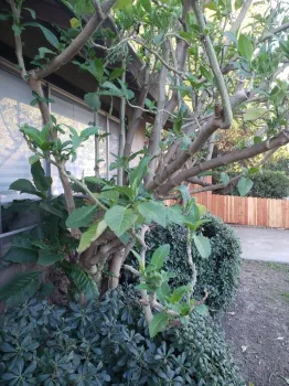 thumbnail 20220215 073840