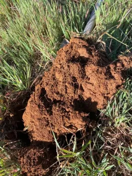 Photo Mar 20, 8 59 32 AM