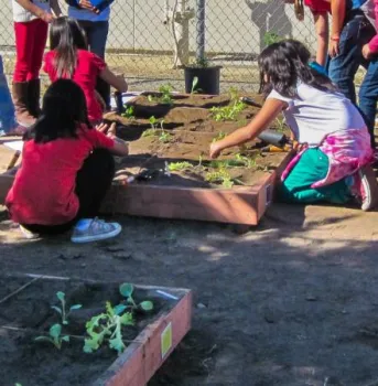 girls planting raised beds