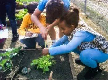 Leopard girl planting lettuce