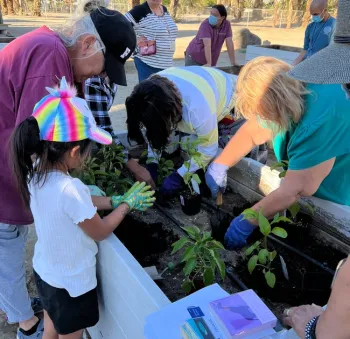 Tribal Members planting vegetables