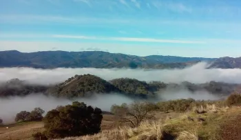 a photo of an HREC landscape in early morning fog