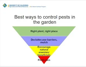 Pesticide IMP use pyramid per UCMG training 2019