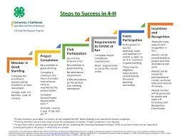 Steps to Success