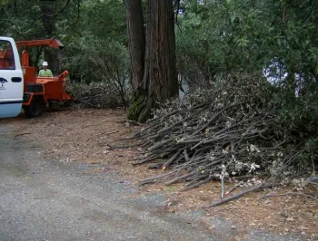 BCFSC Example of a stack waiting to be chipped, Lauren de Terra