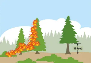 Remove fire ladders source-Riverside County fire