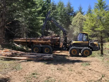 Cut-to-length tree harvester