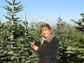 Lynn Wunderlich with Nordmann fir