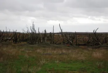 ©Nigel Chadwick licensed for reuse under the Creative Commons Attribution-ShareAlike 2.0 license