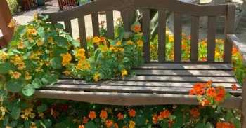 15418015172045779287