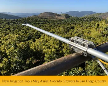 Featured-Stories-Avocado-Irrigation-Banner