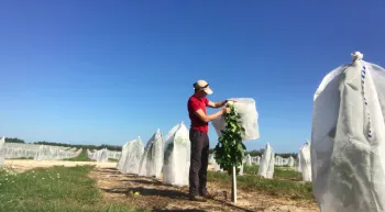 Screen Shot 2022-07-21 at 12.27.11 PM