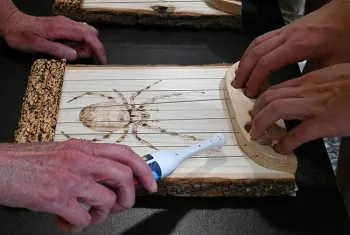 One of the arachnid activities at the open house. (Photo by Kathy Keatley Garvey)