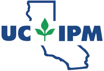ipm state