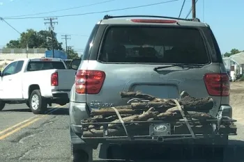 SUV carrying firewood on back bumper.