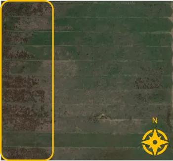 Clusters of dark spots on a satellite image of a green pasture indicate an infestation of an undesired plant. The clusters are most dense on the west side of the pasture.