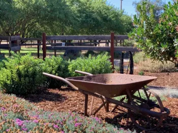 Berm Garden at the Demo Garden, Laura Kling