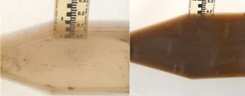 Sprinkler run-off from PAM treated (left) and untreated (right) plots in a commercial romaine lettuce field. Run-off is flowing through flumes positioned at the lower end of the plots.
