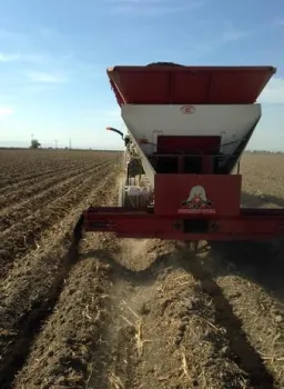 Applying green waste compost in a trench above the drip lines.