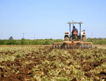 Field incorporation of a cover crop.