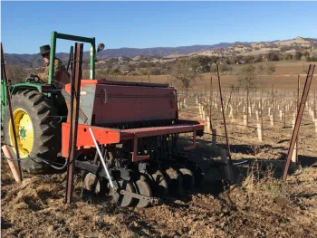 Vitis and Orvis small