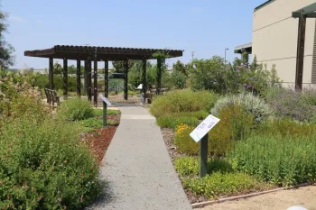 A section of the Learning Landscape May 2015