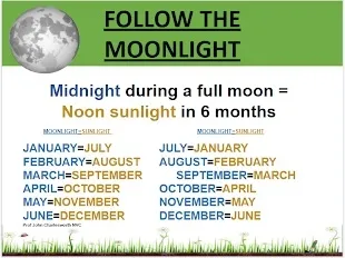 moonlight vs sunlight