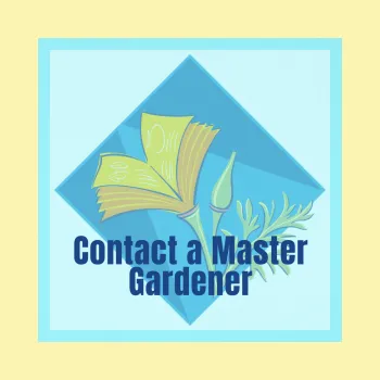 Online Library Access