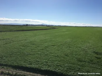 2019-3 Staten Island Mt Diablo MLM