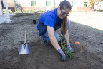 Woman smiling while planting a small green shrub.