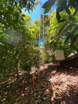Vista desde el suelo de la estación de renovación de la superficie y estación de evapotranspiración en un huerto experimental de aguacates en Escondido. Fotografía por Ali Montazar.
