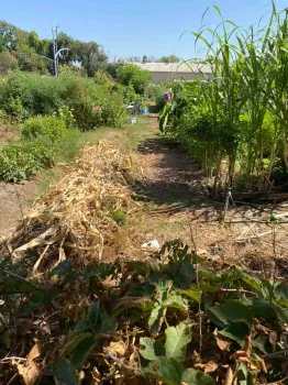 Oak Way Garden, G. Mahannah