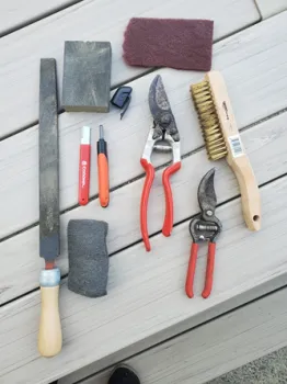 Photo of pruners and brushes