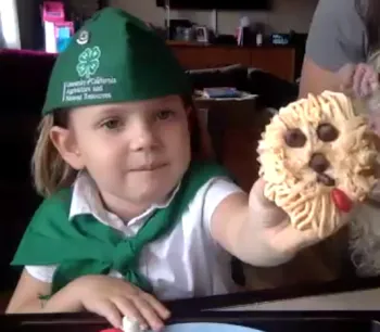 Lola B Cupcake Wars 2021