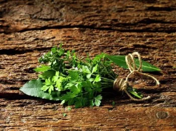 BouquetGarniPosyQ12023a