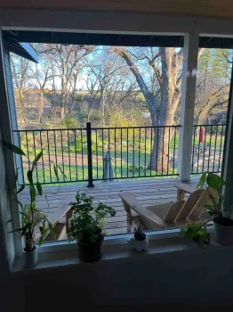 Parsley sharing space with other houseplants on a window sill. Debi Durham