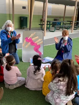 KC worm anatomy activity photo