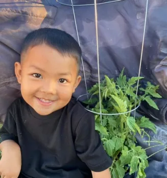 Child smiling next to a 12-inch tomato plant