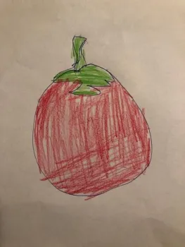A child's drawing of a tomato fruit
