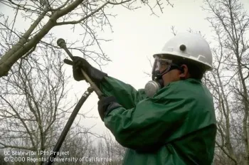 Photo by Jack Kelly Clark