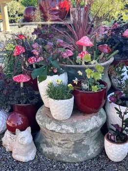 Statuary and containers at Magnolia Gift and Garden in Chico. Debi Durham