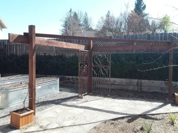 New permeable walkway, shade structure and garden bed in old turf grass area